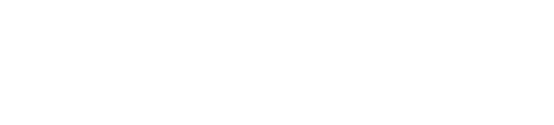 Chamelo logo
