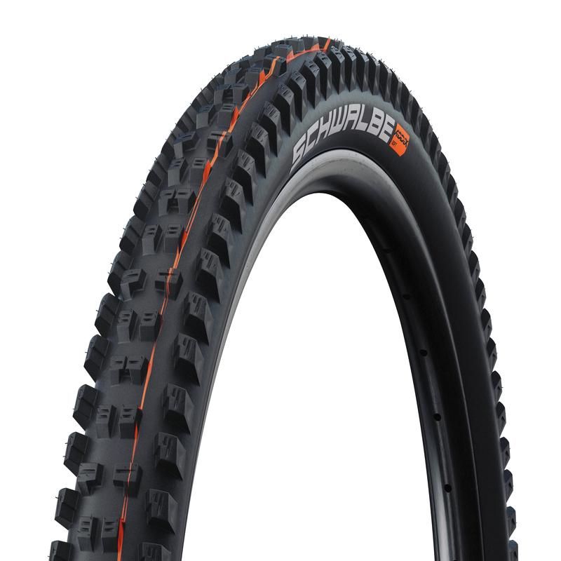 _11654534_schwalbe_tacky_chan_