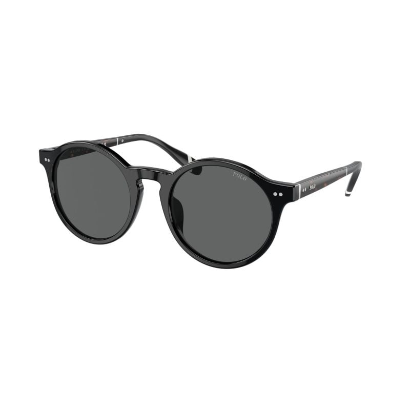 Polo Ralph Lauren Shiny Havana/Black Dark Grey (53) 0PH4204U