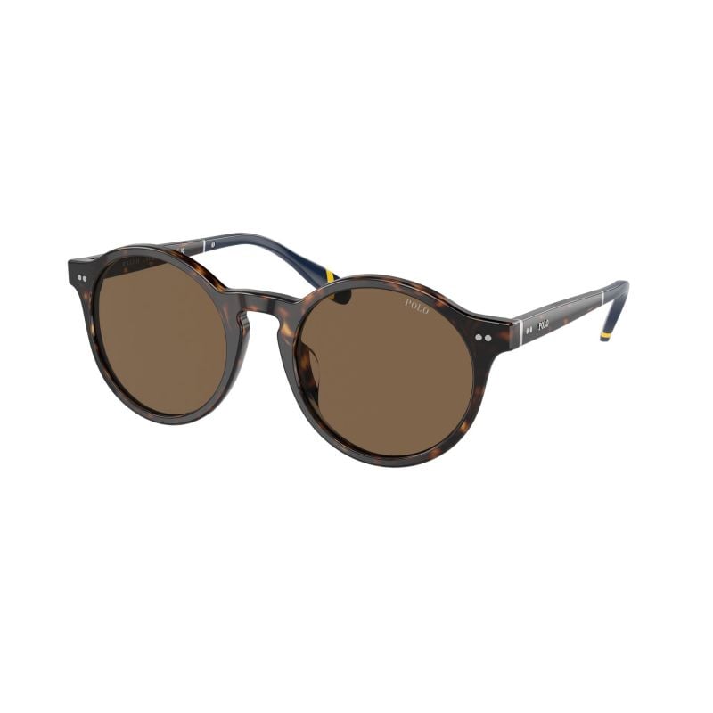 Polo Ralph Lauren Shiny Dark Havana/Blue Brown (53) 0PH4204U