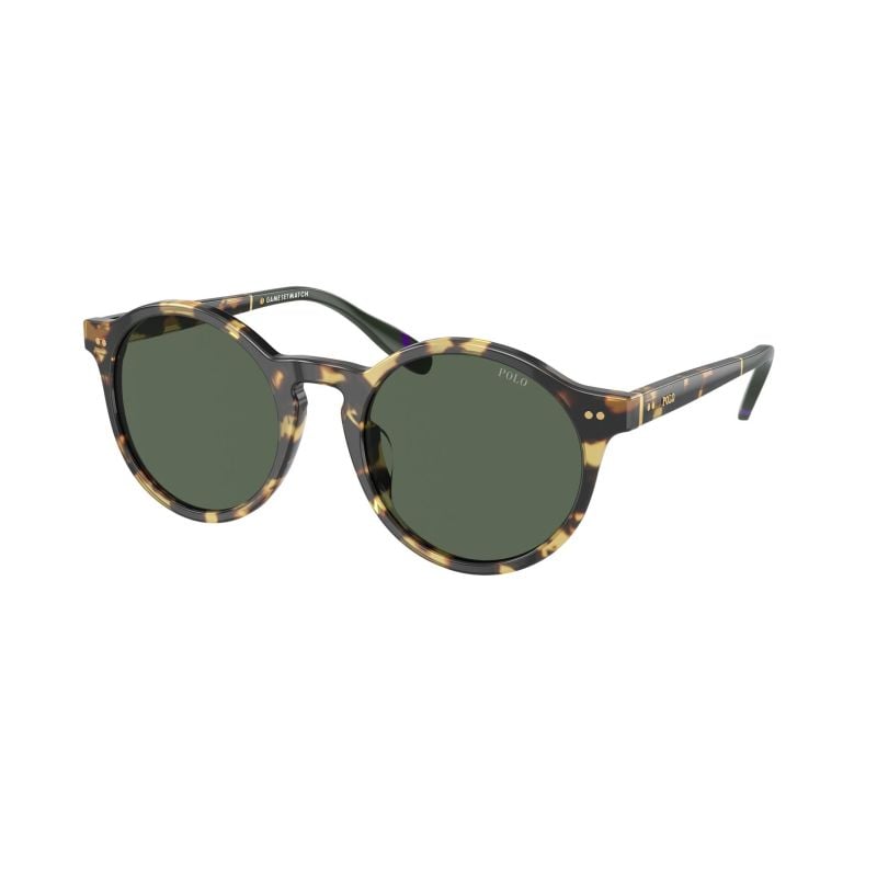 Polo Ralph Lauren Shiny Tortoise Brown/Green Dark Green (53) 0PH4204U