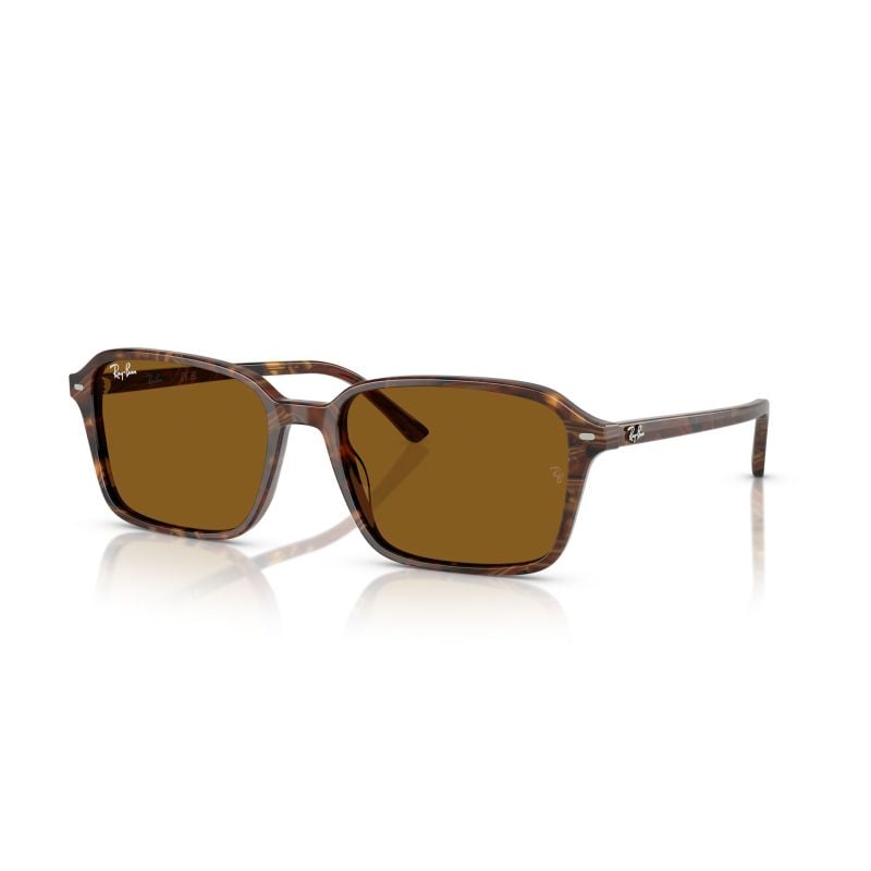 Ray-Ban Raimond Transparent Fantasy Brown Brown (58) 0RB2231