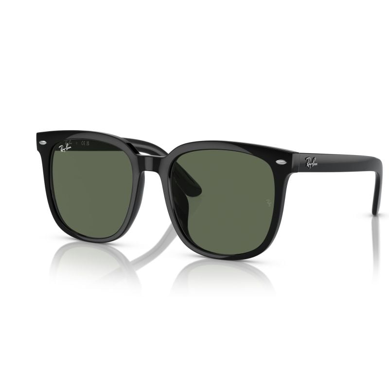 Ray-Ban  Black Dark Green (55) 0RB4401D