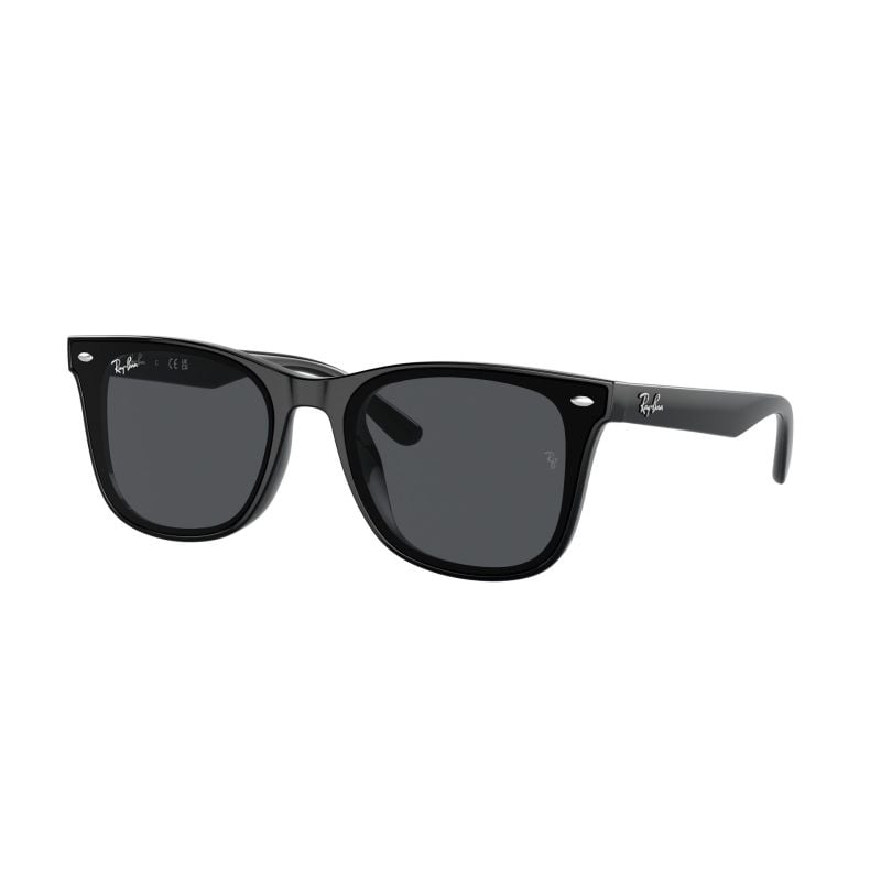 Ray-Ban  Black Dark Grey - 65 RB4420