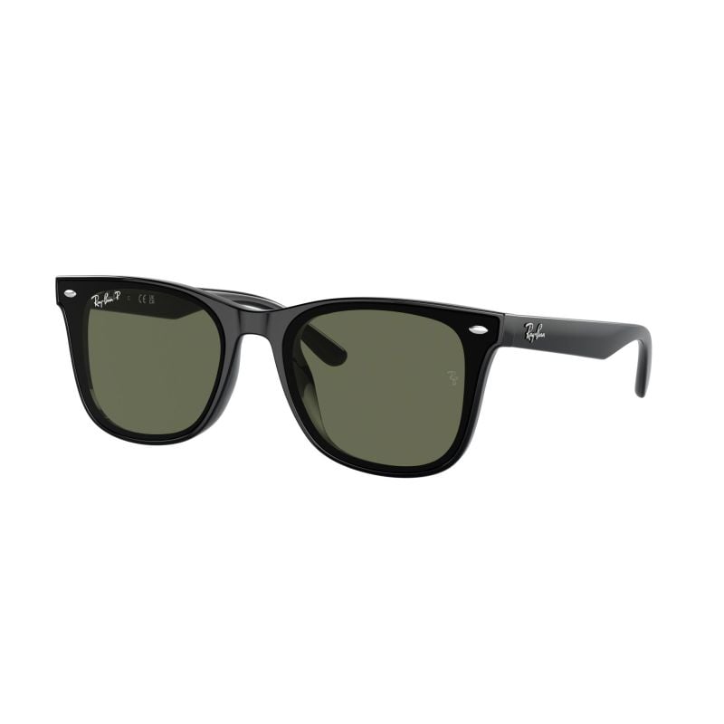 Ray-Ban RB4420 Black Dark Green Polarizado - 65