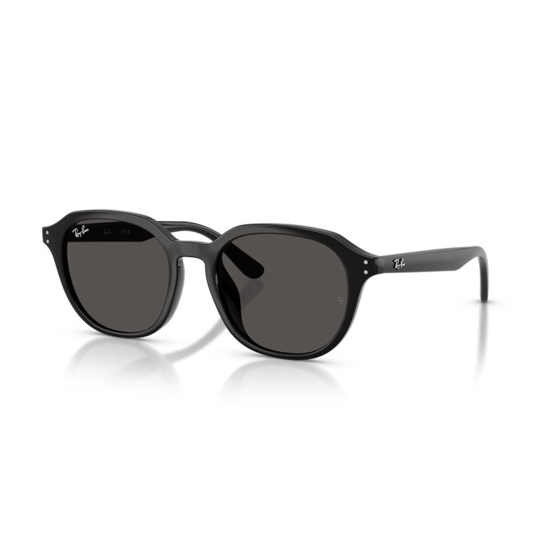Ray-Ban Black Dark Grey (54) 0RB4459D