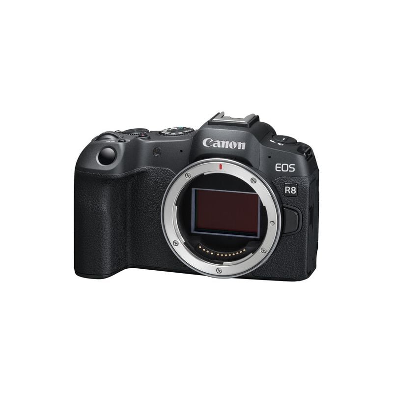 Camara Canon EOS R8