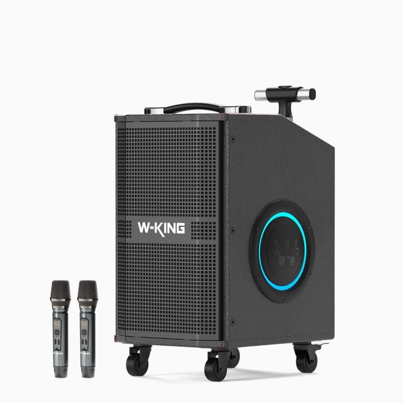 Parlante karaoke W-King K21 180W Profesional