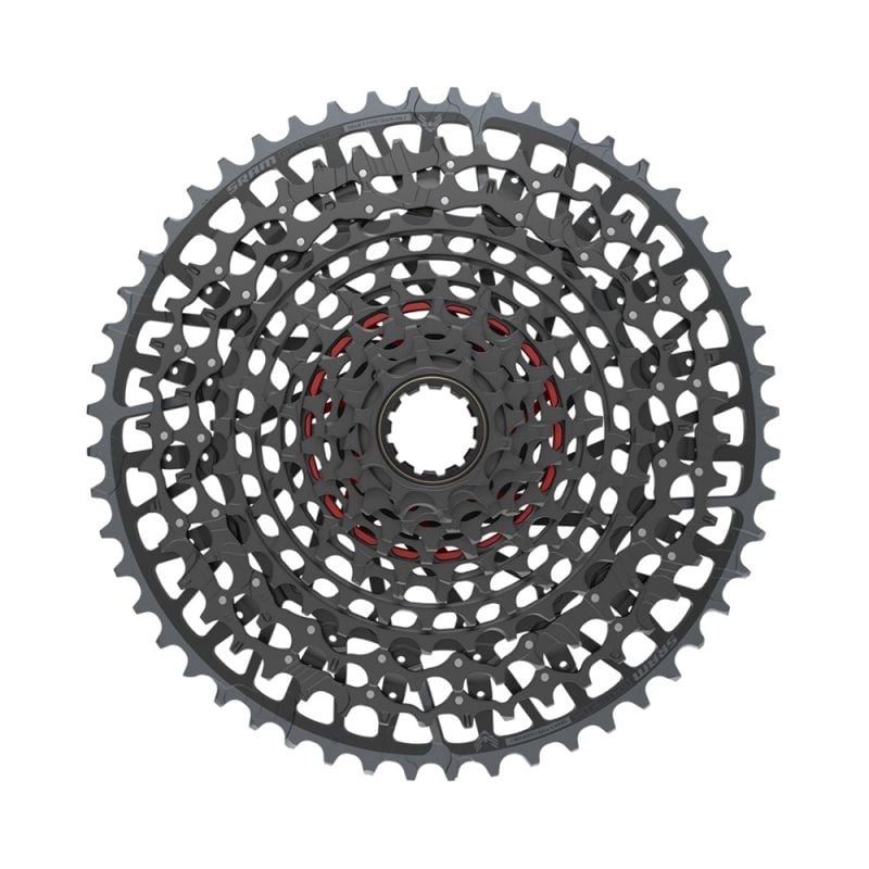 Piñon X0  XS-1295 T-Type Eagle 10-52 12V