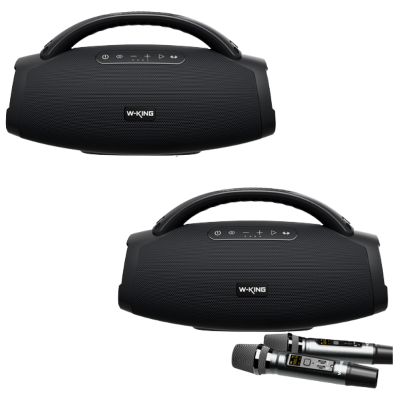 Parlante W-King D20S Bluetooth con Entrada Guitarra y Micrófono