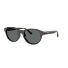 Arnette  Havana Clear (51) 0AN4375