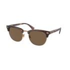 Polo Ralph Lauren Shiny Brown Tortoise Brown (53) 0PH4217