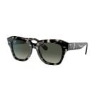 Ray-Ban State Street Gray Havana Grey Gradient (49) 0RB2186