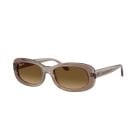 Ray-Ban  Transparent Beige Gradient Brown Polar (53) 0RB2221