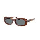 Ray-Ban  Striped Havana Blue (53) 0RB2221