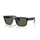 Ray-Ban Matte Black Polar Dark Green (58) 0RB4438L