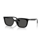 Ray-Ban Black Dark Grey (54) 0RB4439D