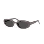 Ray-Ban  Transparent Dark Grey Dark Grey (53) 0RB4441D