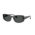 Ray-Ban  Translucent Grey Dark Grey (54) 0RB4446L