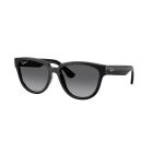 Ray-Ban  Black Light Grey Gradient Grey - Polar (56) 0RB4463L