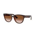 Ray-Ban  Dark Havana Light Brown Gradient Dark Brown (56) 0RB4463L