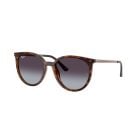Ray-Ban  Copper Light Grey Gradient Dark Grey (54) 0RB4464L