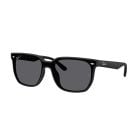 Ray-Ban  Matte Black Polar Grey (47) 0RB4466D