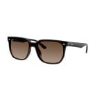 Ray-Ban  Transparent Dark Brown Brown Gradient (47) 0RB4466D