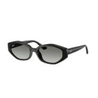 Ray-Ban  Black Gradient Grey (56) 0RB4473D