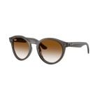 Ray-Ban  Transparent Dark Grey Clear Gradient Brown (52) 0RBR0505S