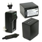 Kit de Bateria y Cargador para Sony NP-FV100