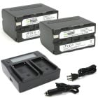 Kit de 2 Bateria Wasabi para Sony NP-F960, NP-F970, NP-F975, NP-F950