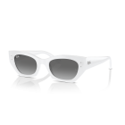 Ray-Ban Zena ORB4430 White Snow Grey Gradient