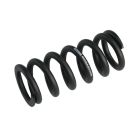 Resorte RockShox 151mm 57.5-65mm Negro 375lb