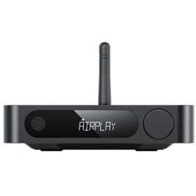 Receptor de música en streaming FiiO SR11