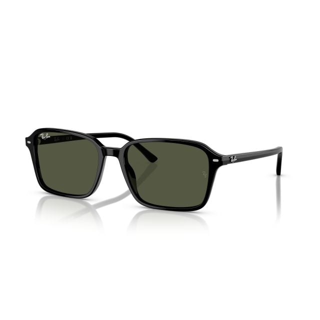 Ray-Ban Raimond Black Green (58) 0RB2231