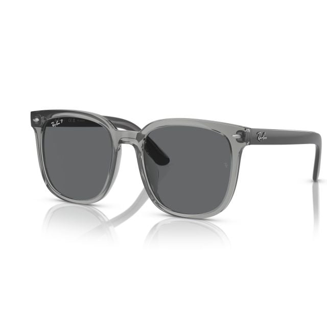 Ray-Ban  Grey Dark Grey Polar (55) 0RB4401D
