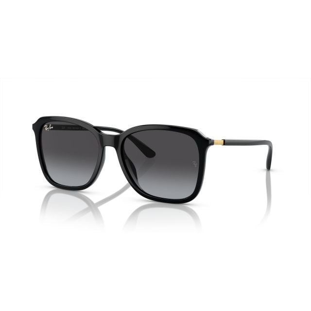 Ray-Ban  Gold Gradient Gray (55) 0RB4417L