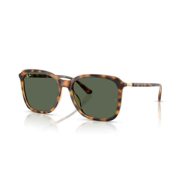 Ray-Ban  Gold Dark Green (55) 0RB4417L