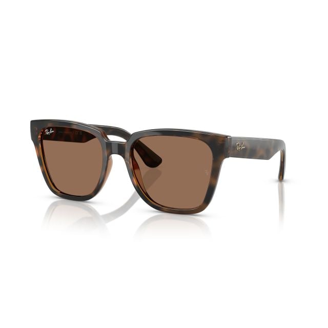 Ray-Ban  Dark Havana Full Brown (55) 0RB4437L
