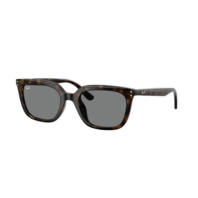 Ray-Ban  Havana Dark Grey (54) 0RB4439D