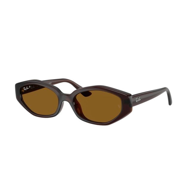 Ray-Ban  Dark Brown Dark Brown  Polar (56) 0RB4473D