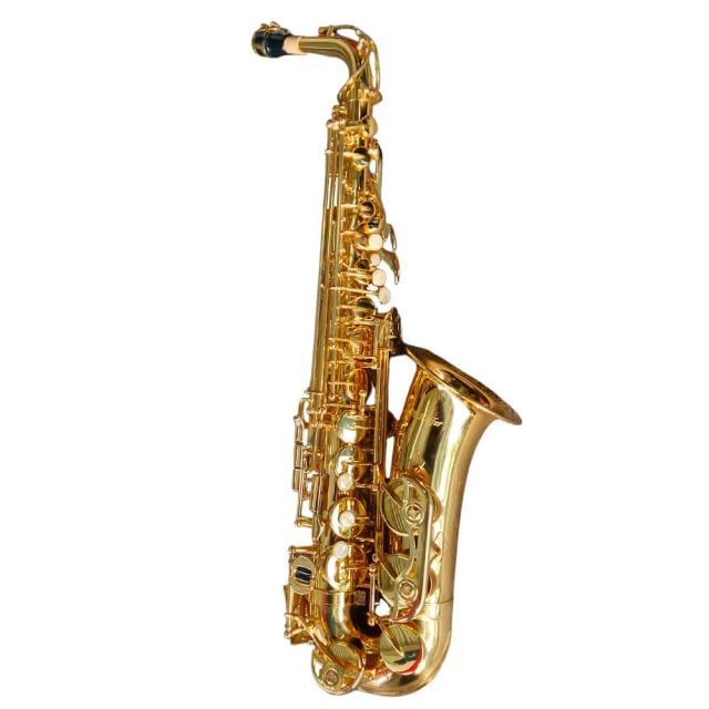 Saxofón Alto Estudiante HAS100 - Hoffer