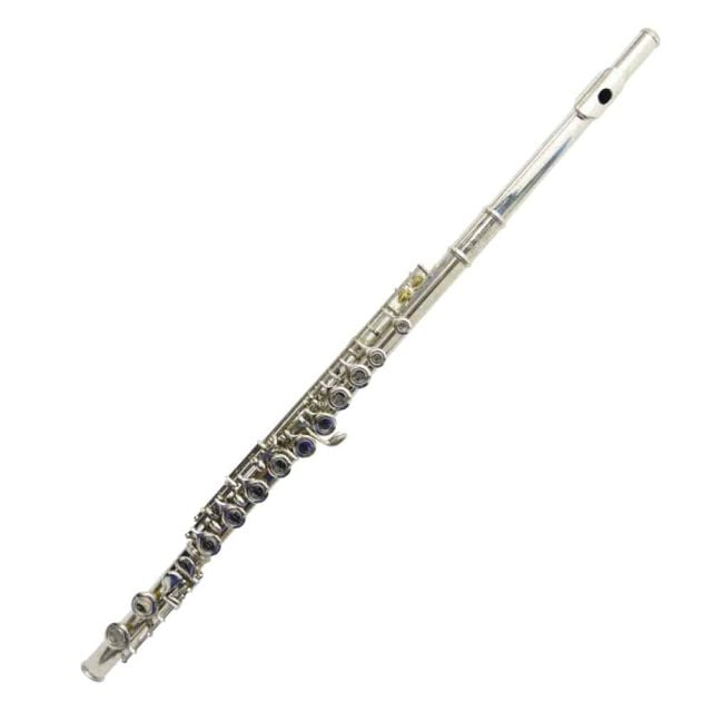 Flauta Traversa 16 Agujeros HFL100 - Hoffer