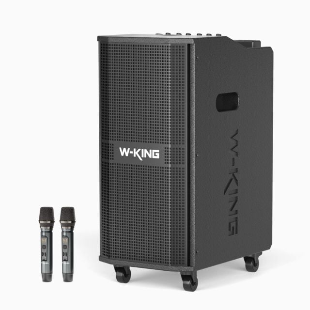 PA Profesional W-KING K20 Pro (360w) con Micrófonos Inalámbricos