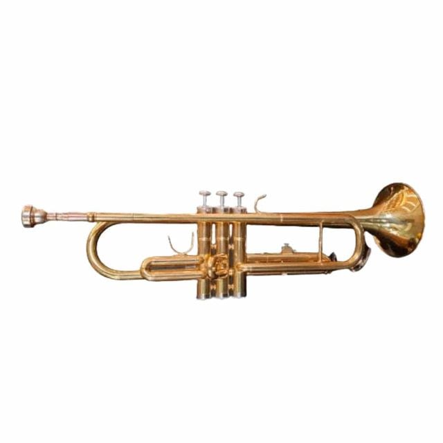 Trompeta Estudiante Golden HTP100 - Hoffer
