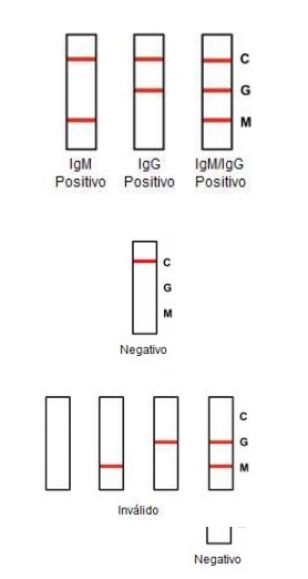Test rapido Covid-19