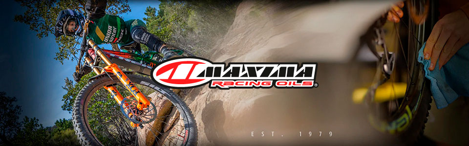 Maxima en Chile